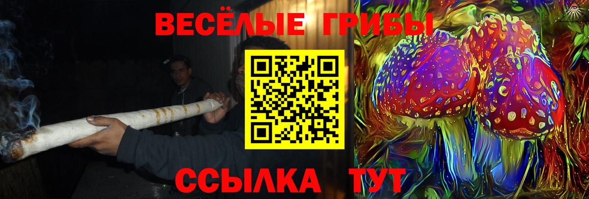 Псилоцибиновые грибы Magic Shrooms Лянтор